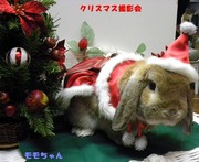 2009 クリスマス撮影会