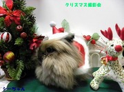 2009 クリスマス撮影会