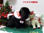 2009 クリスマス撮影会