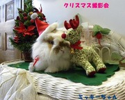 2009 クリスマス撮影会